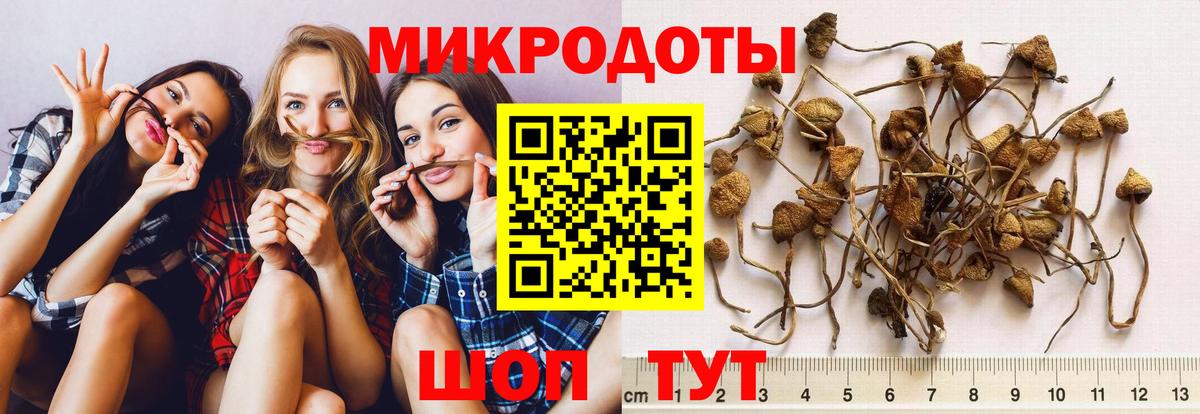 Якутск  Псилоцибиновые грибы мицелий  Вход с VPN 
